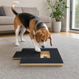 Beagle filing its nails on the Barkicure Scratch Pad in a bright living room